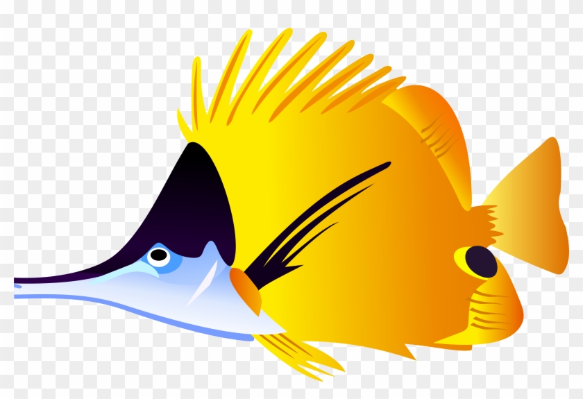 840x575 saltwater fish clipart at getdrawings