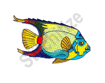 Saltwater Fish Drawing | Free download on ClipArtMag