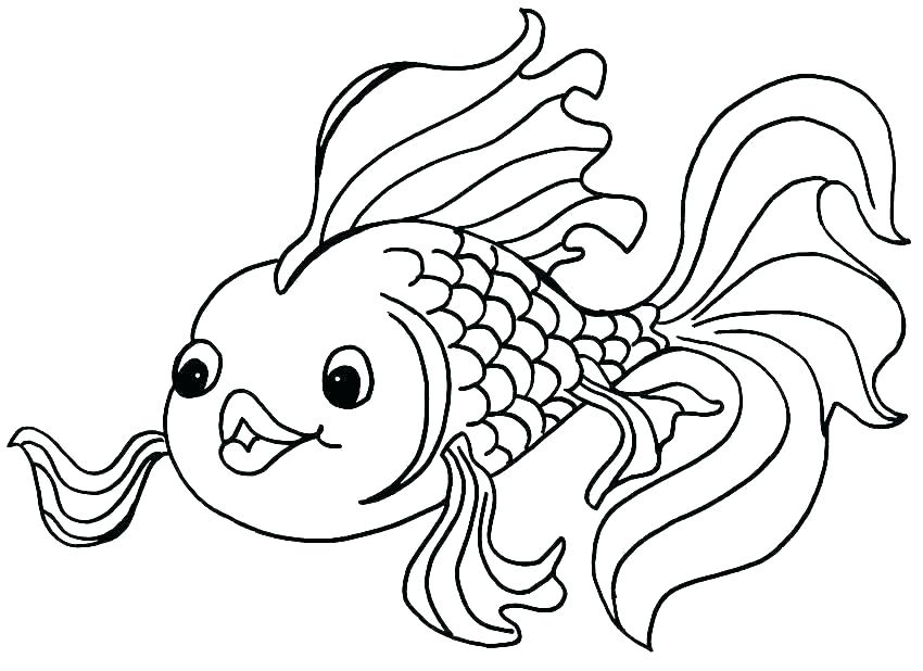 850x618 Saltwater Fish Coloring Pages Pizzafood Club