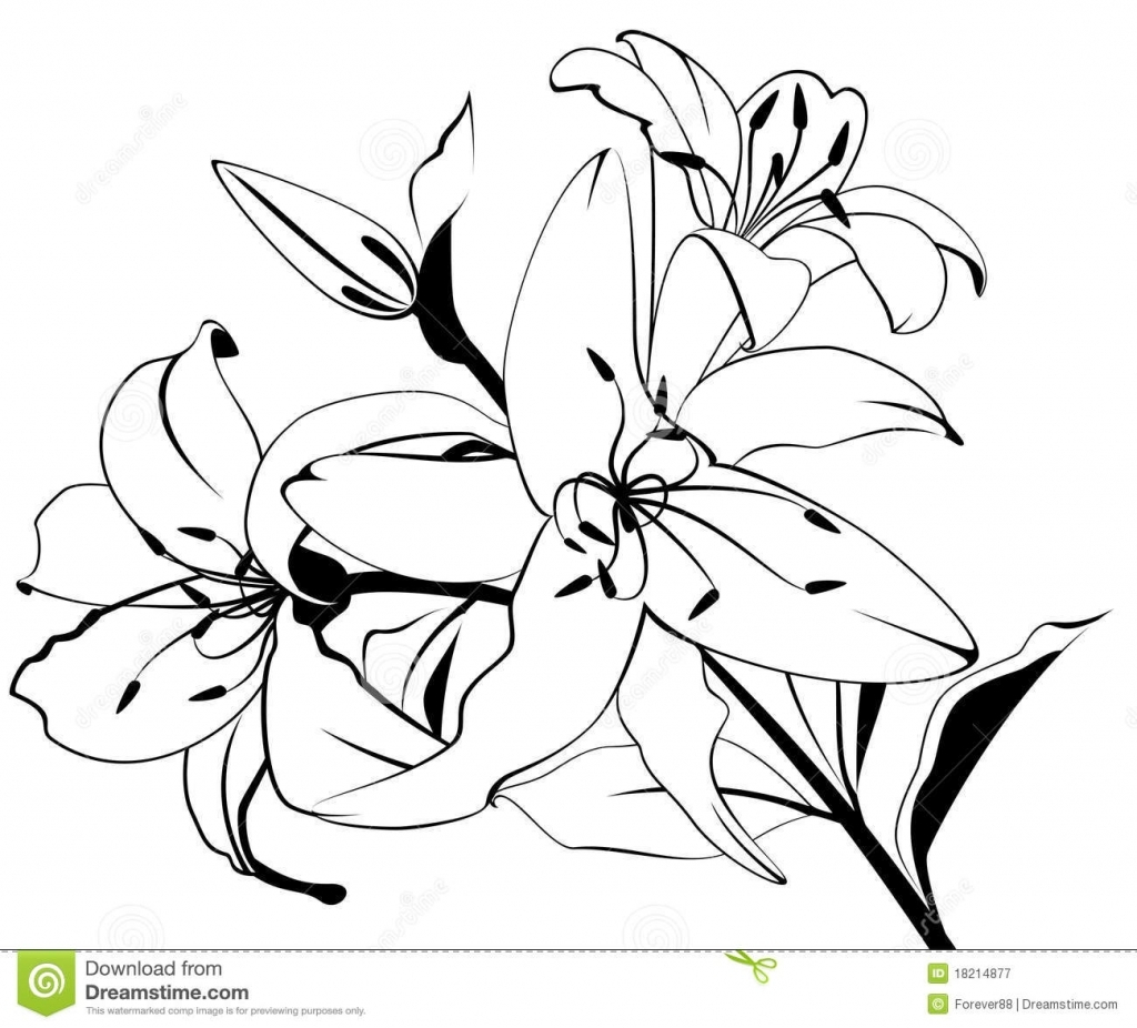 Samoan Flower Drawing