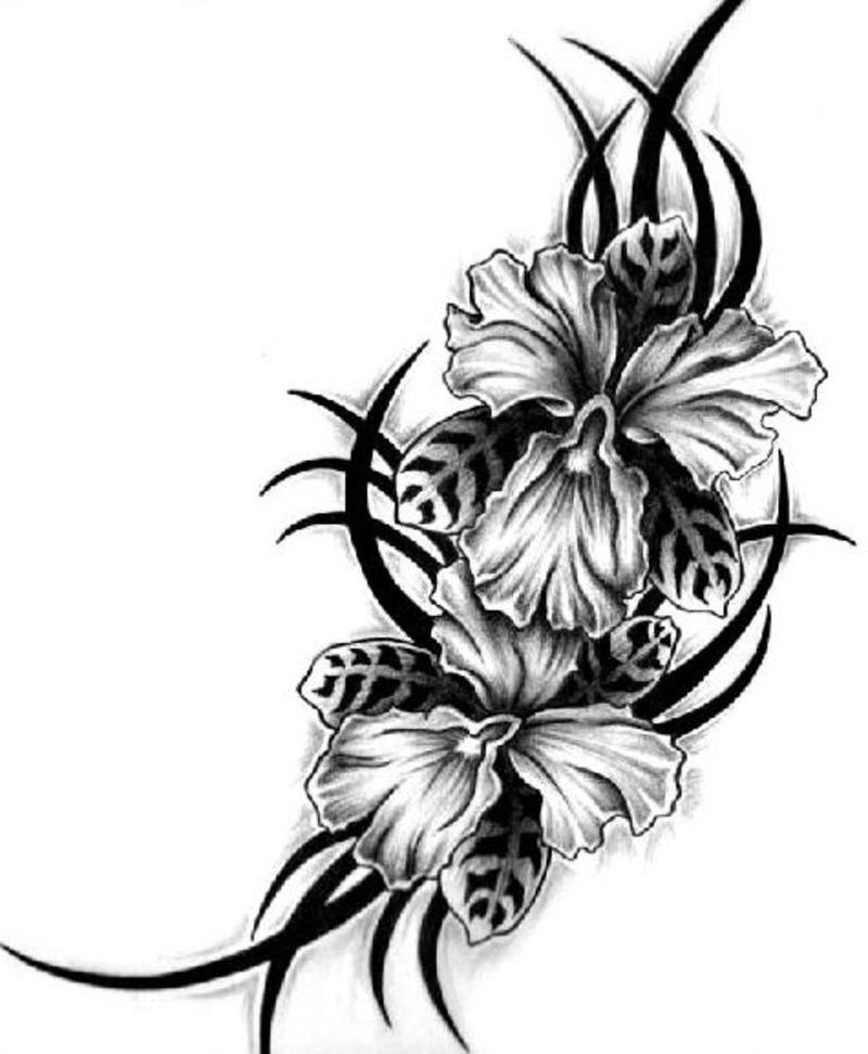 800x972 Hawaiian Flower Designs Group With Items