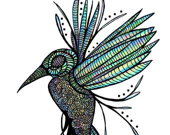 340x270 Hummingbird Drawing Etsy