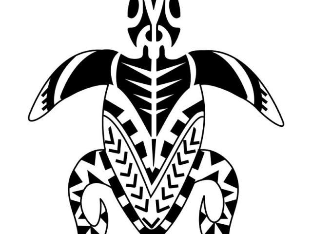 640x480 Samoan Flower Drawing Gardening Flower And Vegetables