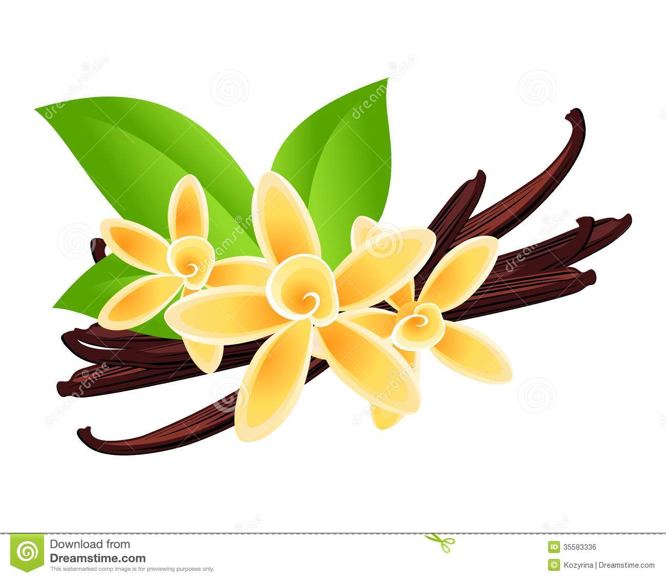 1300x1130 collection of free flowen clipart sampaguita download on ui ex