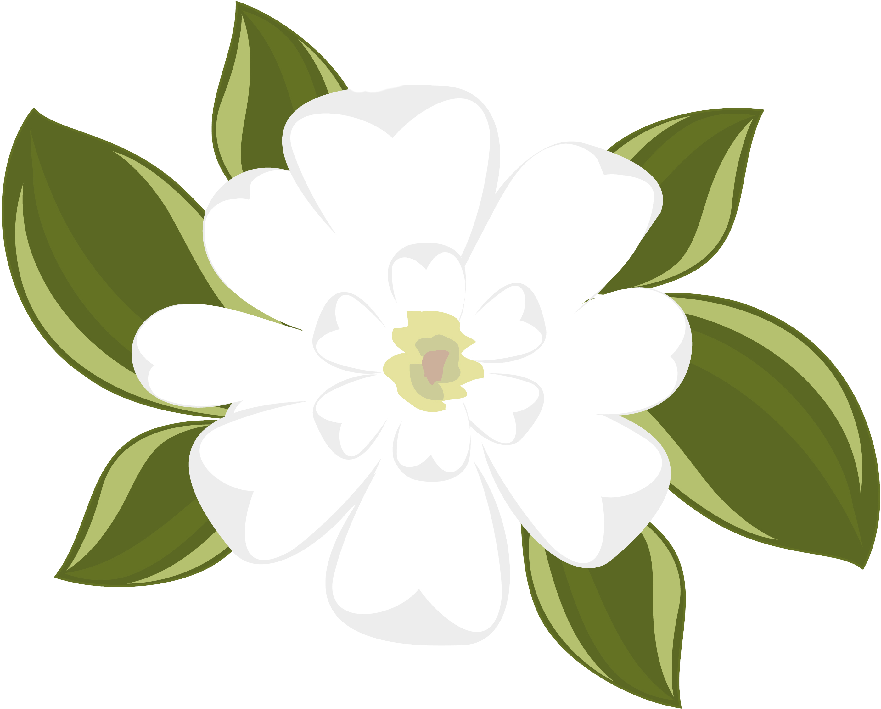 Sampaguita Drawing | Free download on ClipArtMag