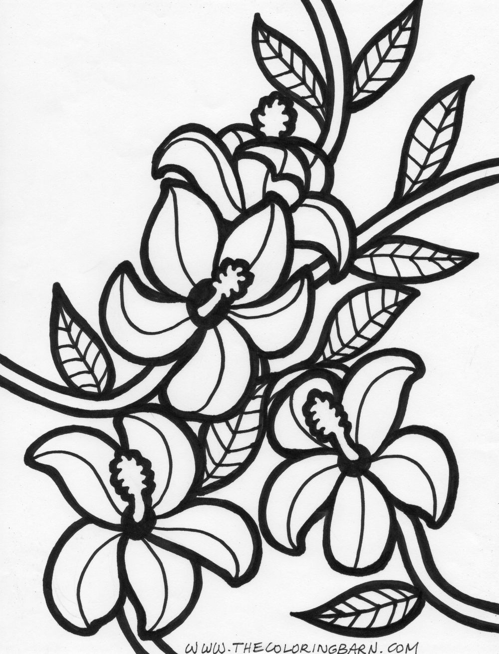 1000x1310 sampaguita drawing camia for free download