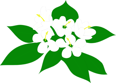 400x285 Flower Clip Art Sampaguita