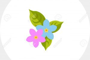 300x200 Sampaguita Flowers Icon Clipart Portal