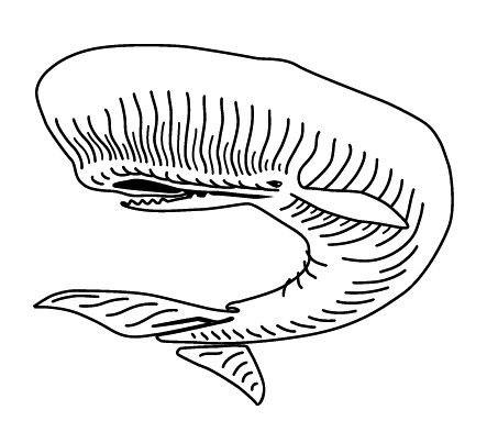 453x403 Event Details