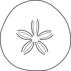 236x234 Sand Dollar Coloring Pages Color Bros