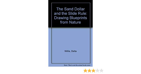 600x315 The Sand Dollar And The Slide Rule Drawing Blueprints From Nature