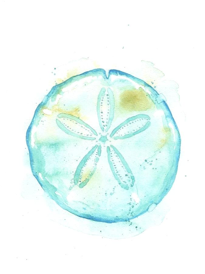 675x900 Sand Dollar Painting Genchev