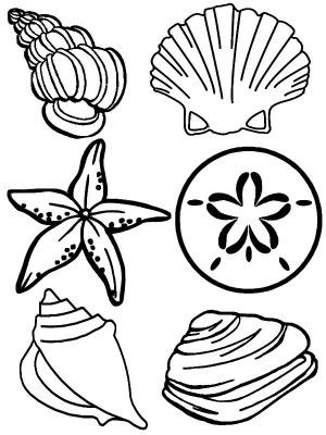 300x400 Sea Shells And Sand Dollar Templates Tutorials Diy Printables