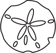 Sand Dollar Drawing | Free download on ClipArtMag