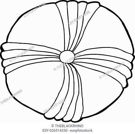474x470 Common Sand Dollar Stock Photos And Images Age Fotostock