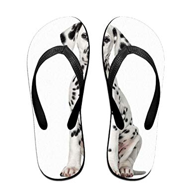 385x385 Frideing Flat Sandals, Fashion Beach Flip Flops