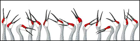 552x164 Kim Russell Original Drawings Ink And Acrylic Drawings Bird