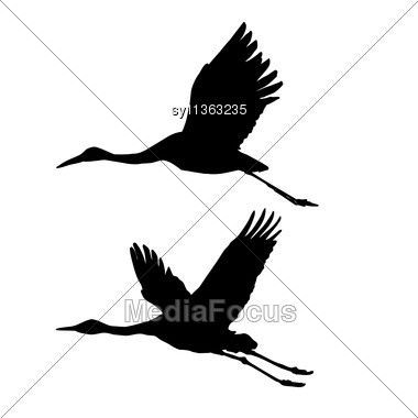 380x380 Sarus Fly Drawing, Crane Bird, Bird