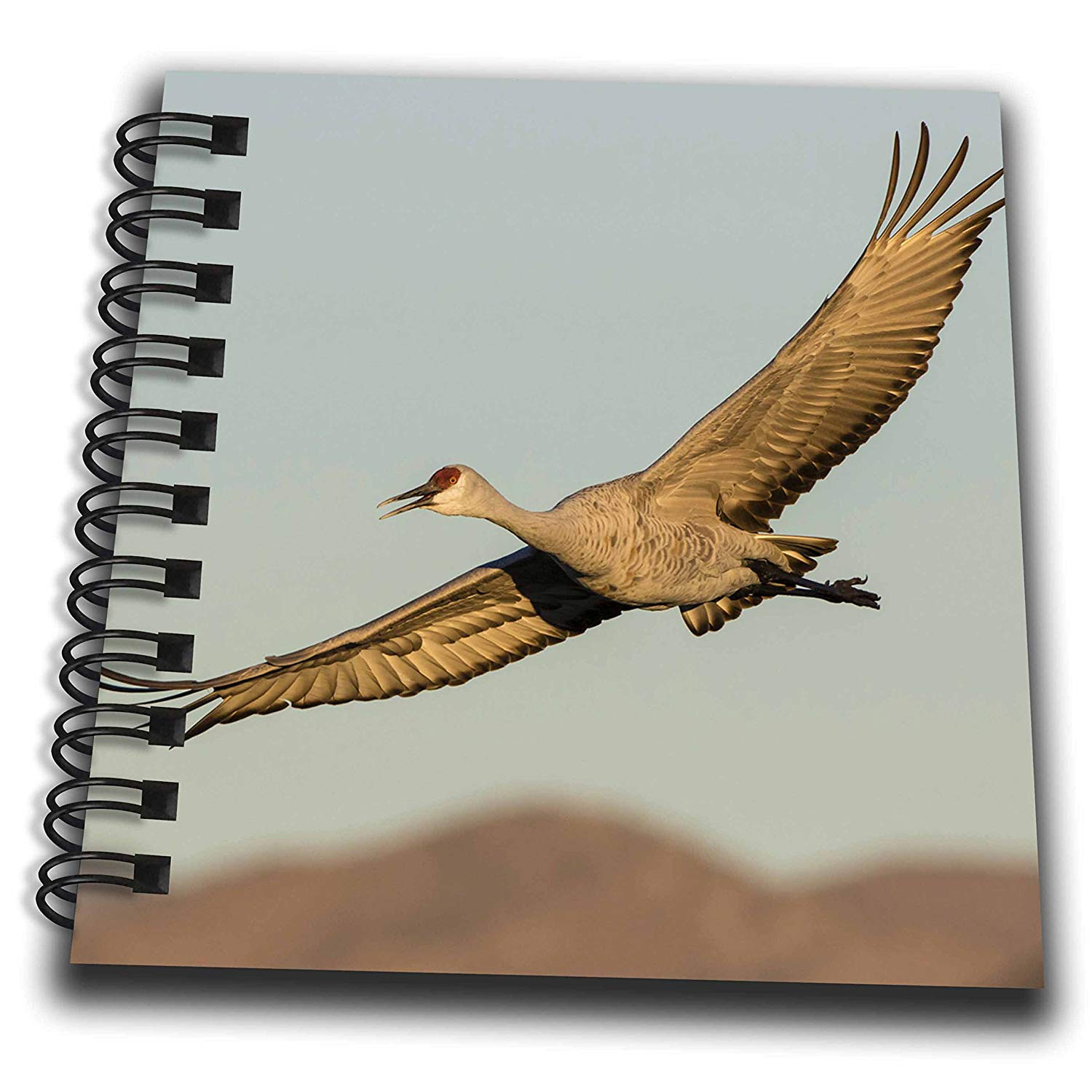 1500x1500 Danita Delimont