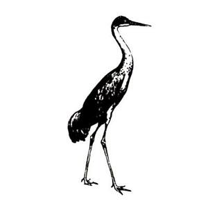 300x300 sandhill crane unmounted bird rubber stamp