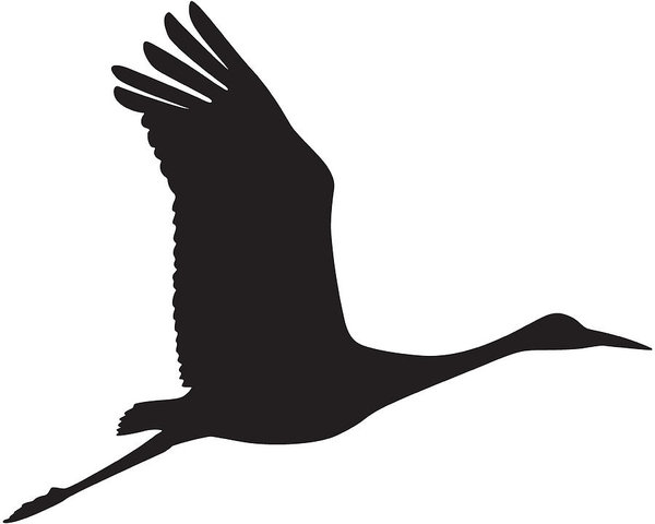 Sandhill Crane Drawing | Free download on ClipArtMag