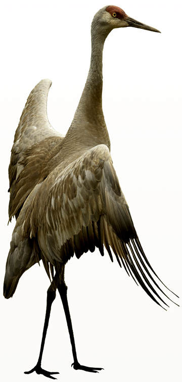 360x753 Christy Yuncker Photo Journal