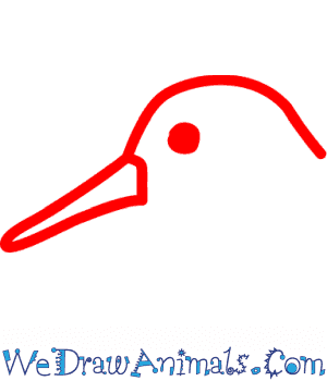 300x350 How To Draw A Sandpiper