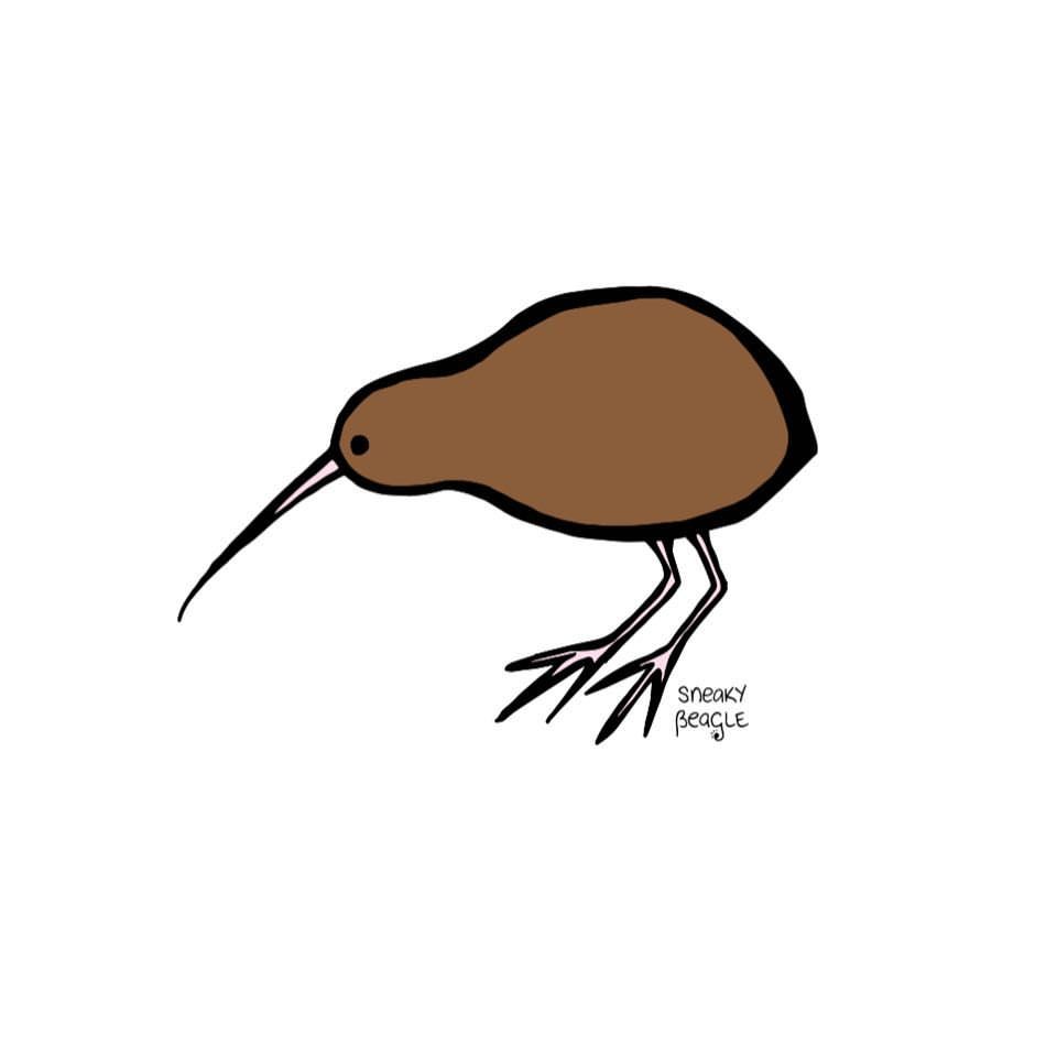 950x950 Just A Wee Little Kiwi For Some Reason I Draw Him Whilst