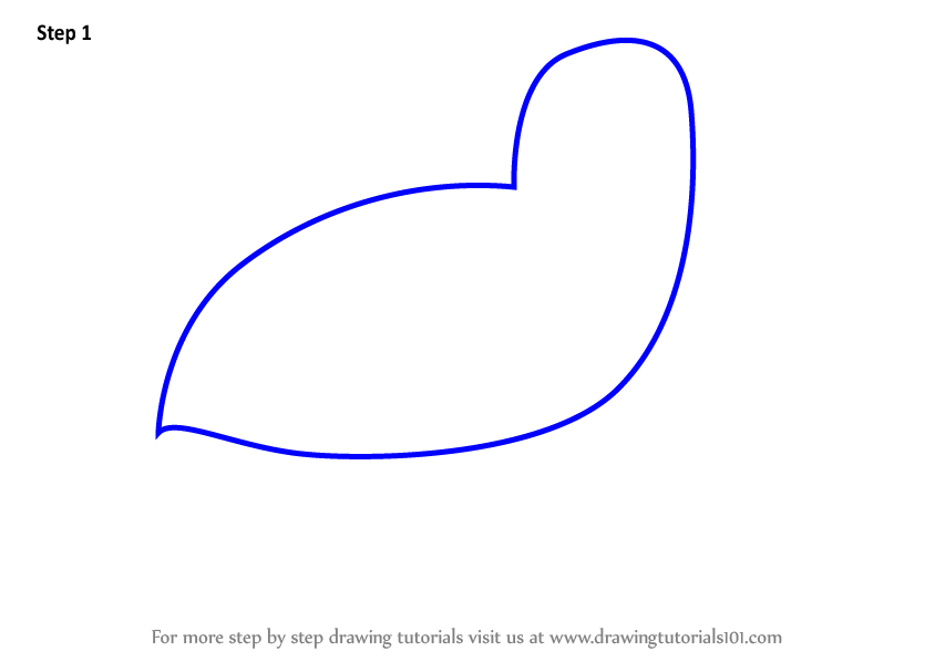 844x598 Learn How To Draw A Common Sandpiper Bird For Kids