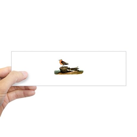 460x460 Sandpiper Bird Bumper Stickers