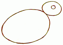 250x179 Exam Guide Online