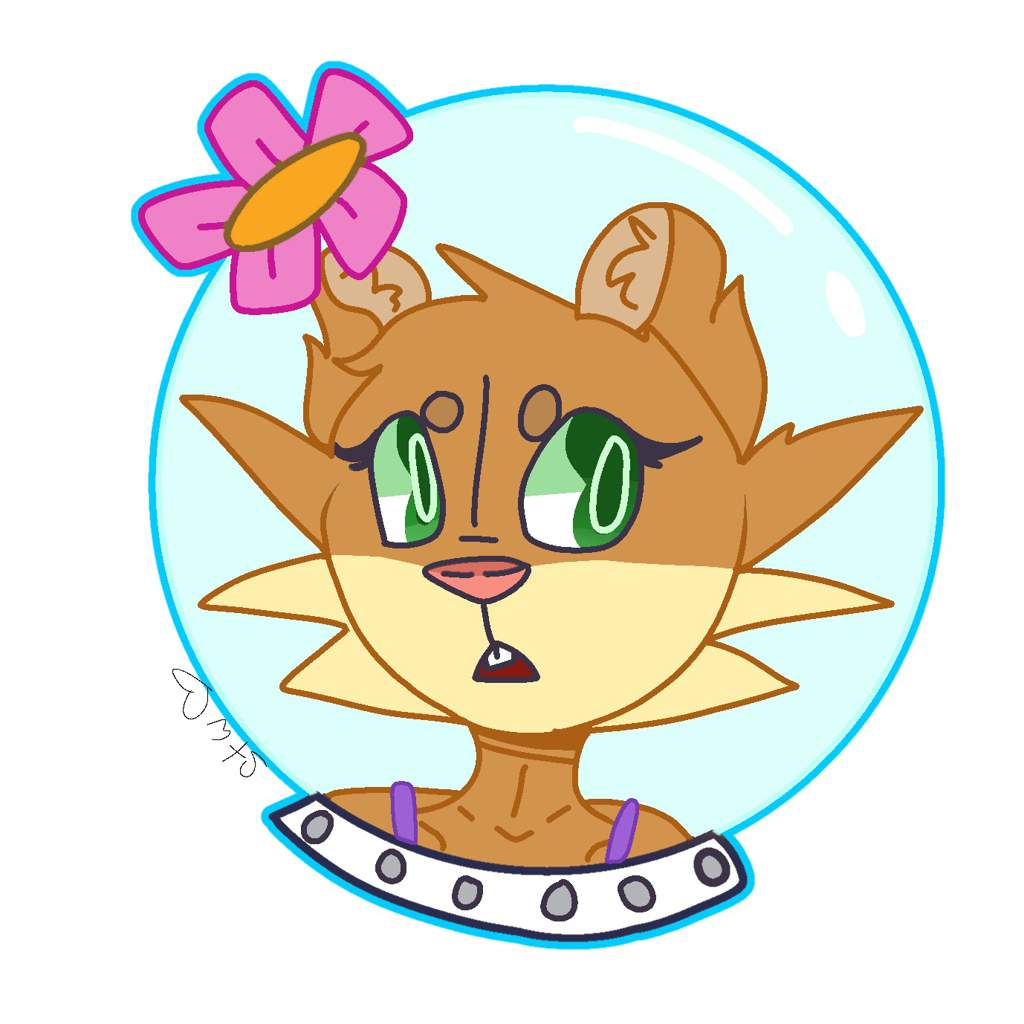 1024x1024 My First Post