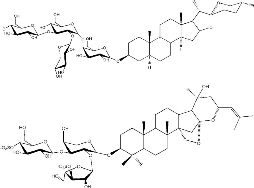 850x628 Dongnoside E