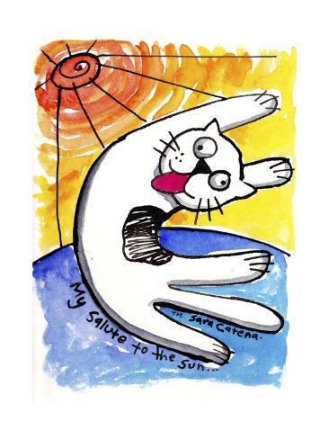 366x488 Crazy Maverix