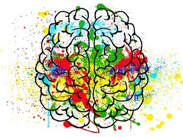 360x270 profile of sara