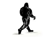200x150 sasquatch drawing designs on dribbble
