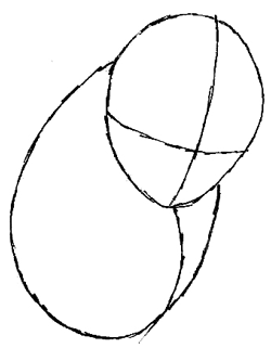 250x321 How To Draw Sasuke Uchiha From Naruto In Easy Step