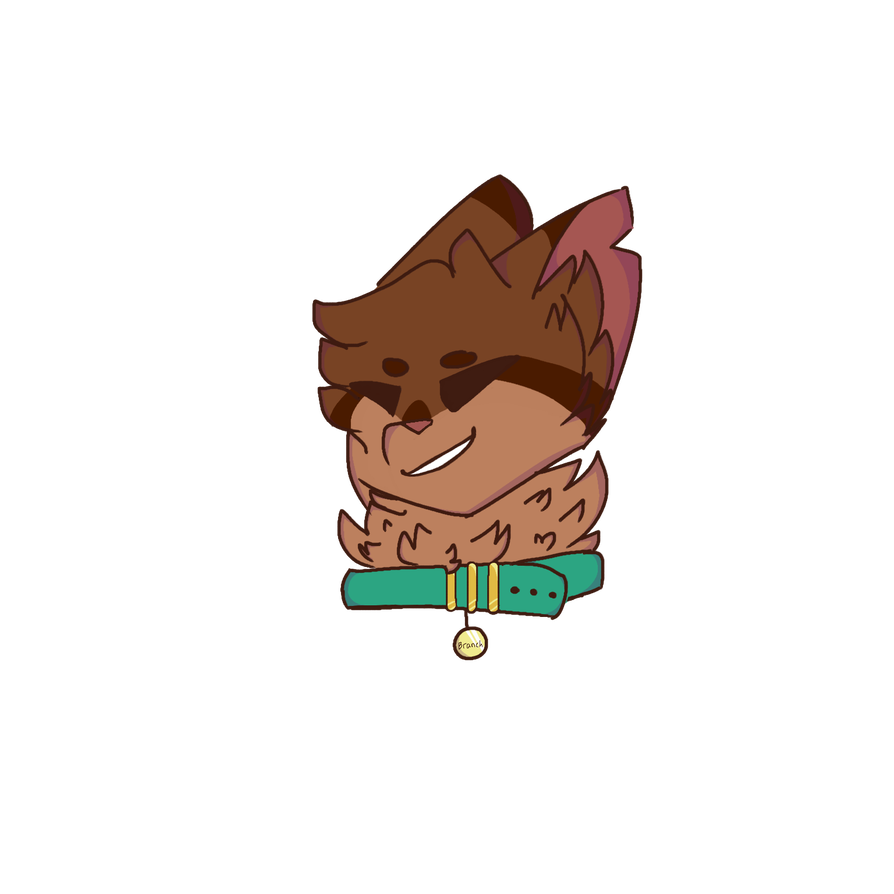 894x894 Mmmm Tomato Sauce