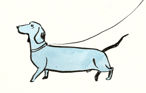 Sausage Dog Drawing