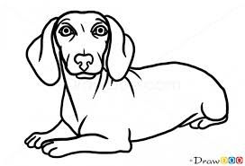 272x185 How To Draw A Sausage Dog