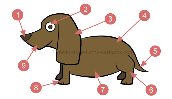 600x348 How To Draw An Illustration Of A Dachshund