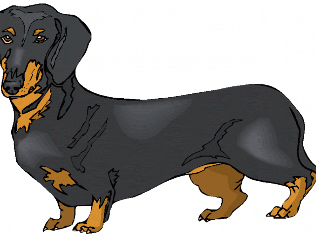 640x480 Dachshund Png Download Miniature Huge Freebie! Download