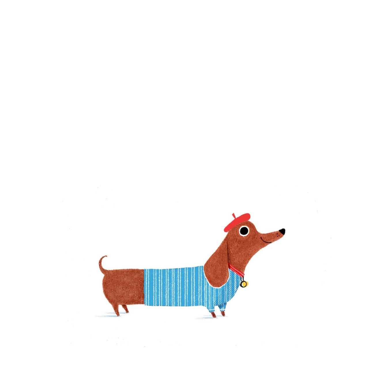 1280x1280 Sausage Dog