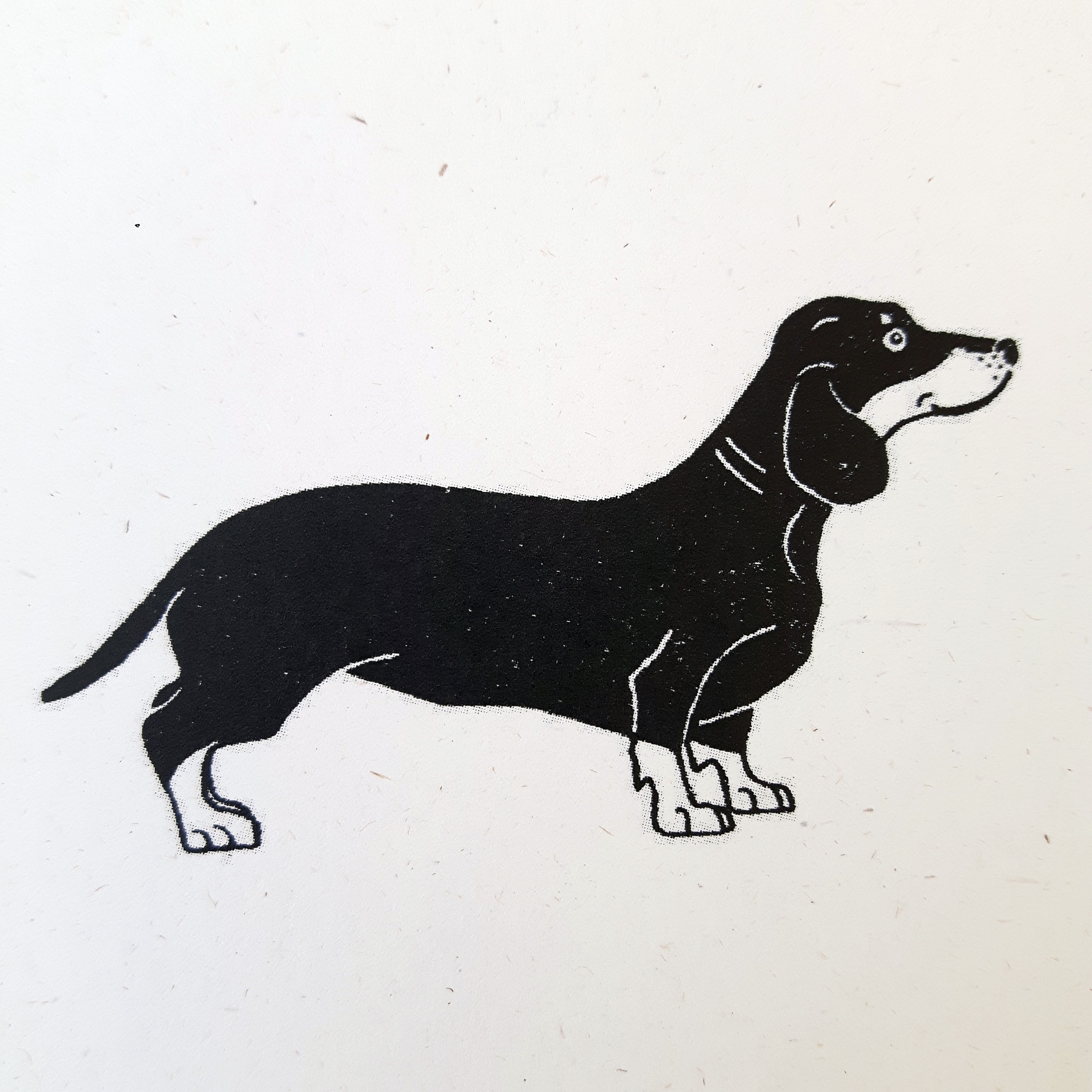 Sausage Dog Drawing | Free download on ClipArtMag