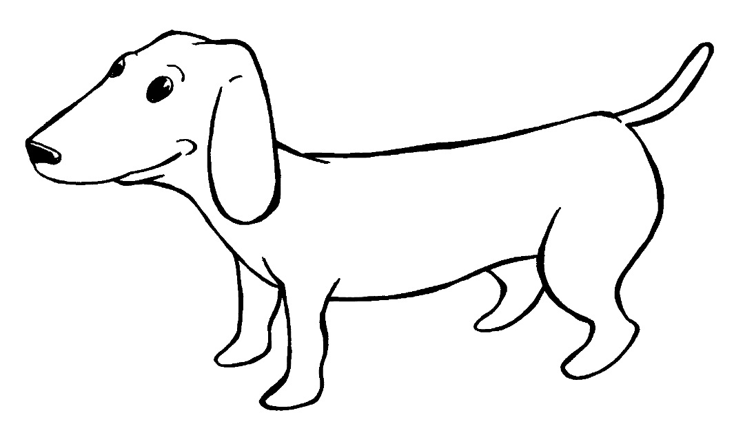 1065x632 sausage drawing sausage dog for free download