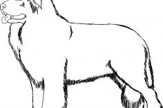 236x157 Cartoon Dog Drawing Step