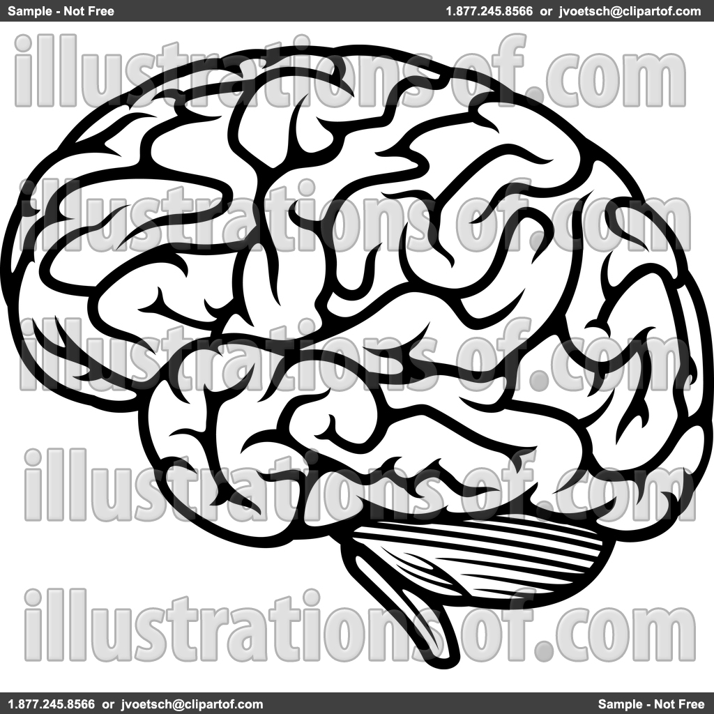 1024x1024 Brain In Head Clipart