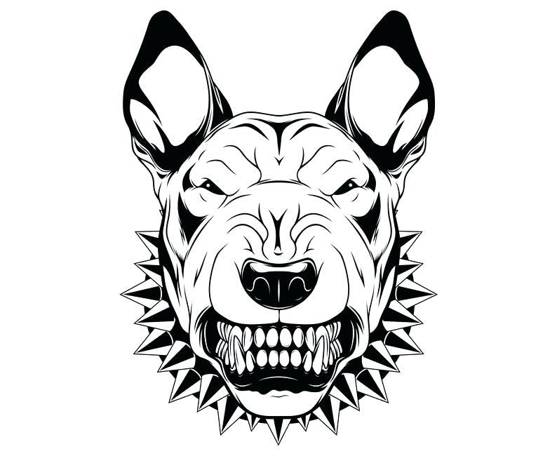 794x650 Pitbull Cartoon Drawing Save Architecture Salary Nyc