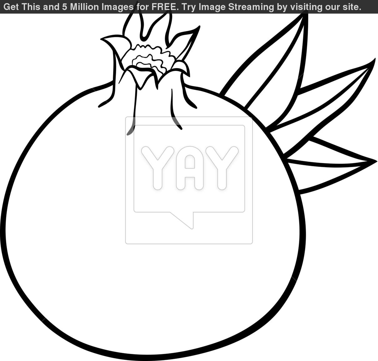 1210x1155 Save Money