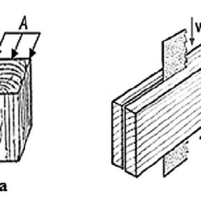 289x289 experimental set band saw saw blade wood specimen